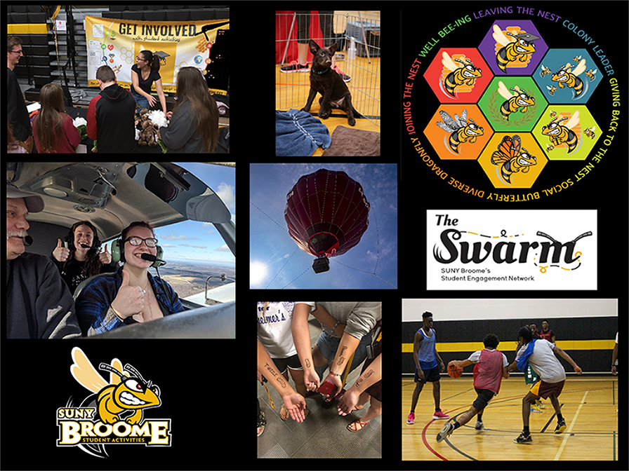 The Swarm. Images of activities.