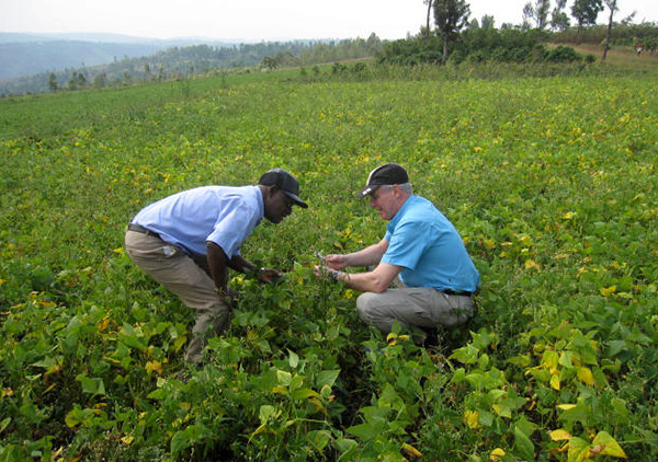 Alan Schroeder in a bean field in the African nation of Burundi