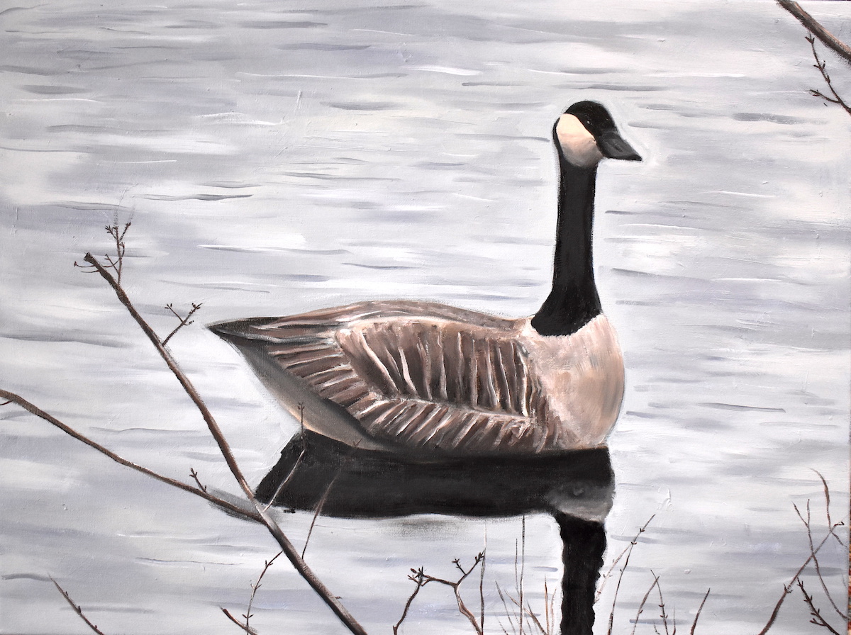 A Canadian Goose floats on gray still waters.