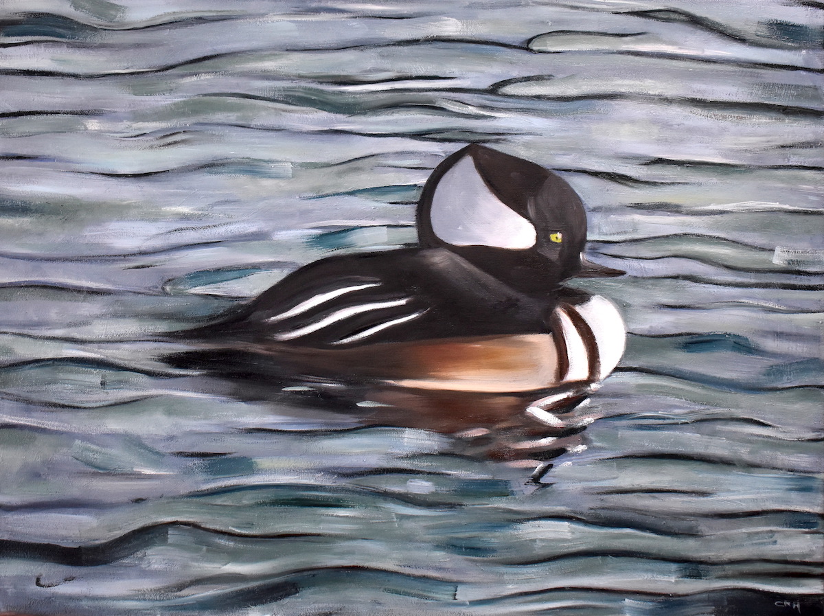A Hooded Merganser duck bobbing on gray, blue, and teal waters.