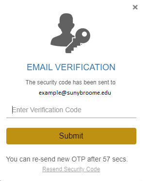 MFA email Verification entry