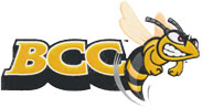 Example of two SUNY Broome logos squished together